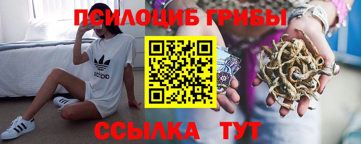 Псилоцибиновые грибы Cubensis  цены   Люберцы  Вход с VPN  Галлюциногенные грибы MAGIC MUSHROOMS 
