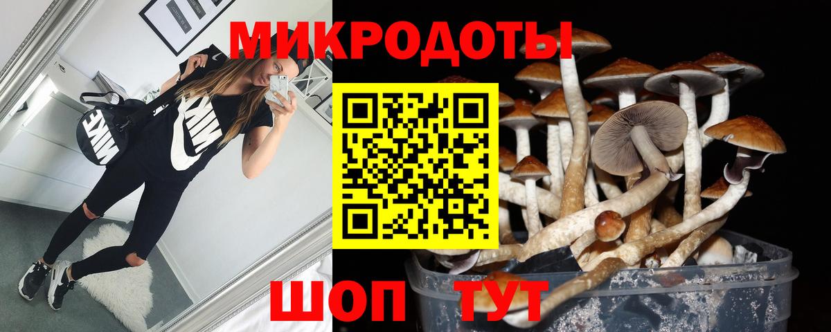 Галлюциногенные грибы Psilocybe Люберцы